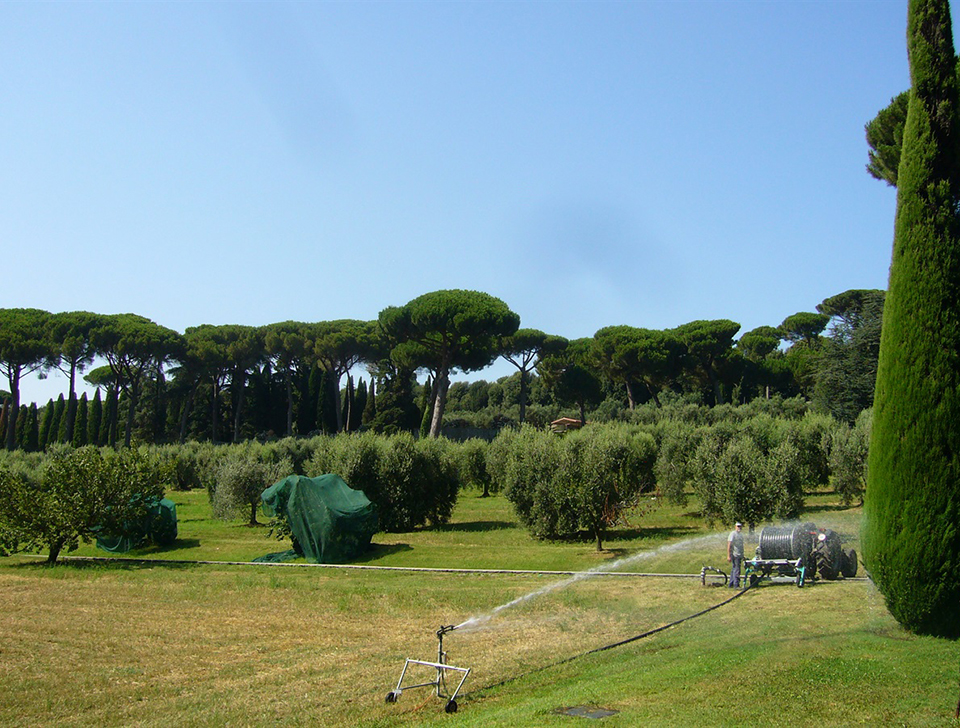 Fattoria del Papa a Castelgandolfo